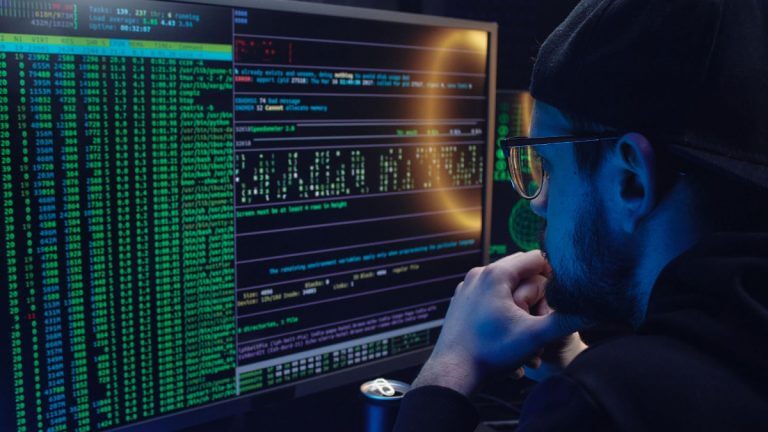 How Programming Languages are made?